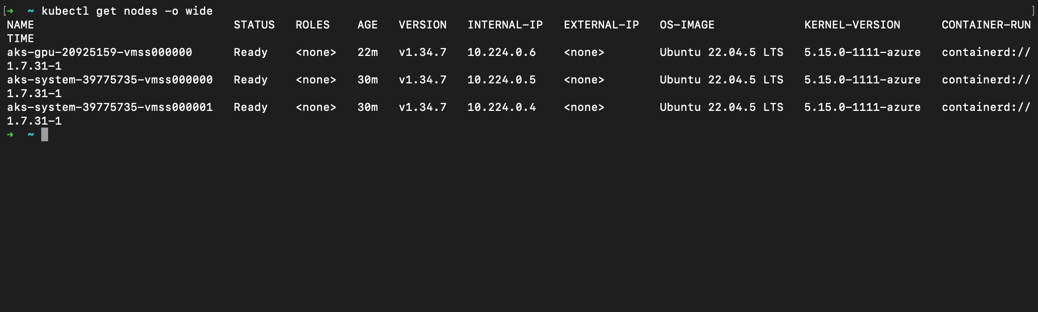 kubectl get nodes showing the GPU node and two system nodes