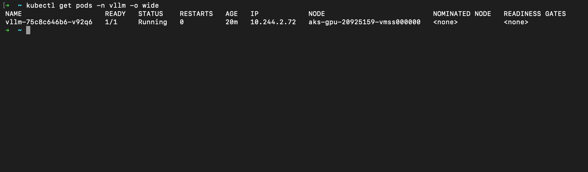 The vLLM pod running on the GPU node